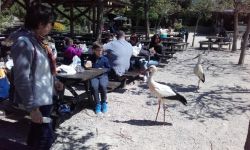 Classe Decouverte   084